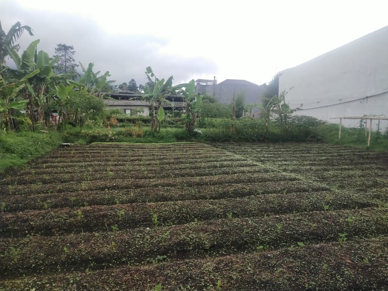 Kavling Setiabudi Regency Bandung