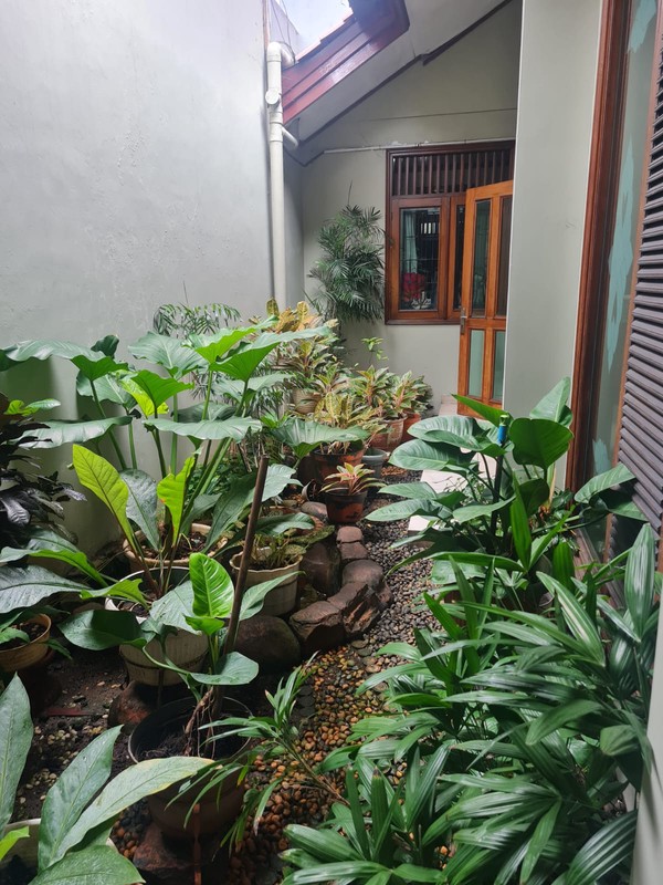 Rumah Bagus Di Jl Pengadegan Selatan Pancoran Jakarta Selatan