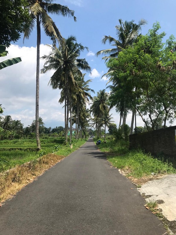 Dijual Tanah Kavling 164 Meter Persegi Strategis Dekat Kampus UII Siap Bangun di Sardonoharjo, Ngaglik, Sleman