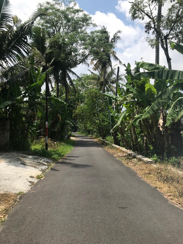 Dijual Tanah Kavling 164 Meter Persegi Strategis Dekat Kampus UII Siap Bangun di Sardonoharjo, Ngaglik, Sleman