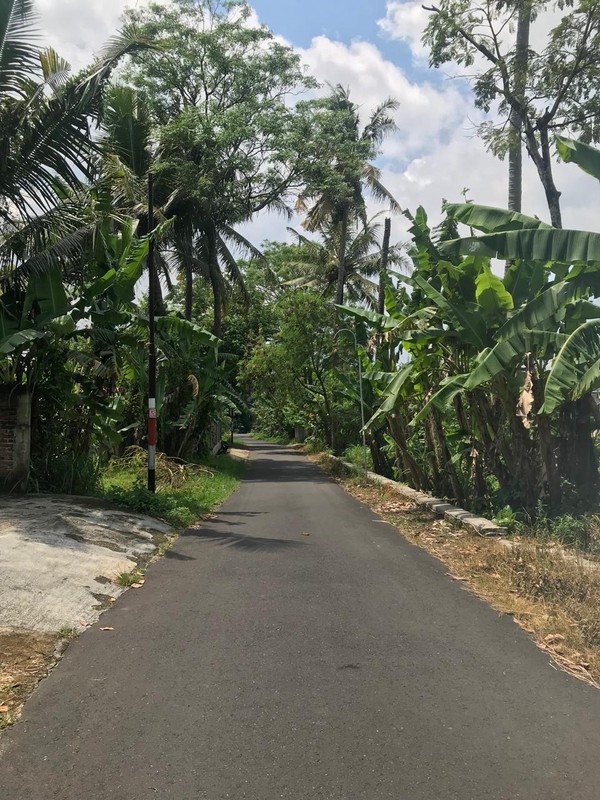 Dijual Tanah Kavling 140 Meter Persegi Strategis Dekat Kampus UII Siap Bangun di Sardonoharjo, Ngaglik, Sleman