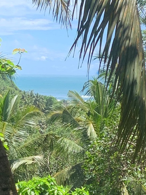 Villa bagus dengan view Pantai Selatan Jawa Parangrejo, Parangtritis-Jogjakarta