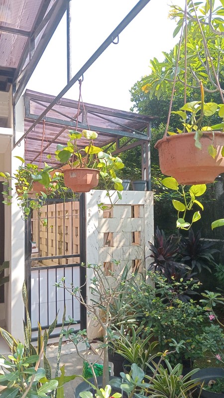 Rumah 2 Lantai Siap Huni dengan Hunian Nyaman dan Asri @Pondok Aren