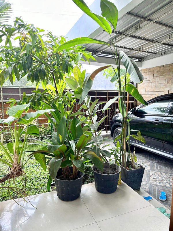 Rumah Mewah 2 Lantai Lokasi Sangat Dekat Dengan Pakuwon Mall, Condongcatur, Depok, Sleman