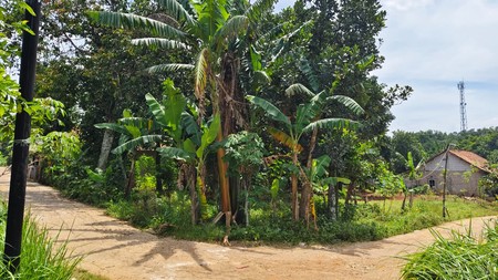 Kavling Siap Bangun Cocok Untuk Perumahan di Parung Bogor