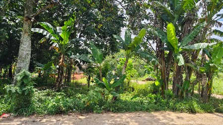 Kavling Siap Bangun Cocok Untuk Perumahan di Parung Bogor