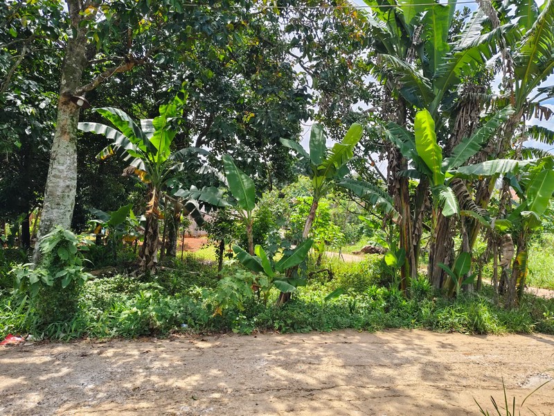 Kavling Siap Bangun Cocok Untuk Perumahan di Parung Bogor