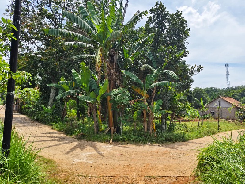 Kavling Siap Bangun Cocok Untuk Perumahan di Parung Bogor