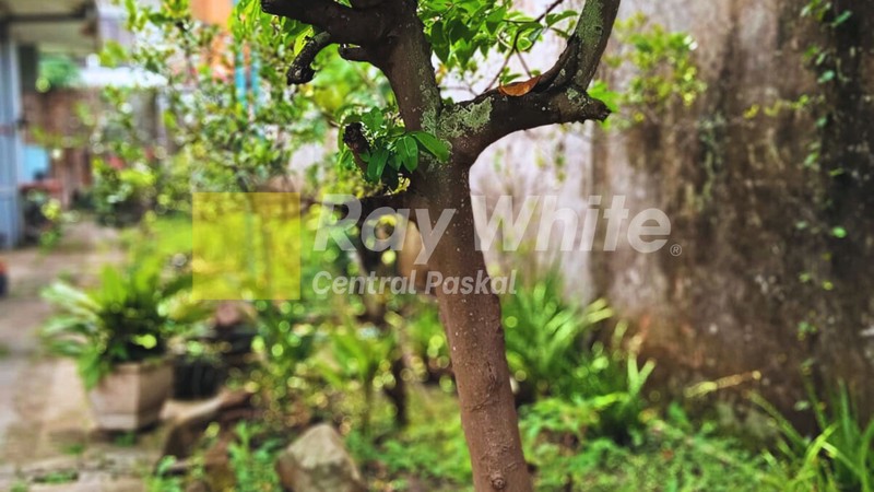 Rumah 1 Lantai di Komplek Cendrawasih Cibereum Kota Cimahi