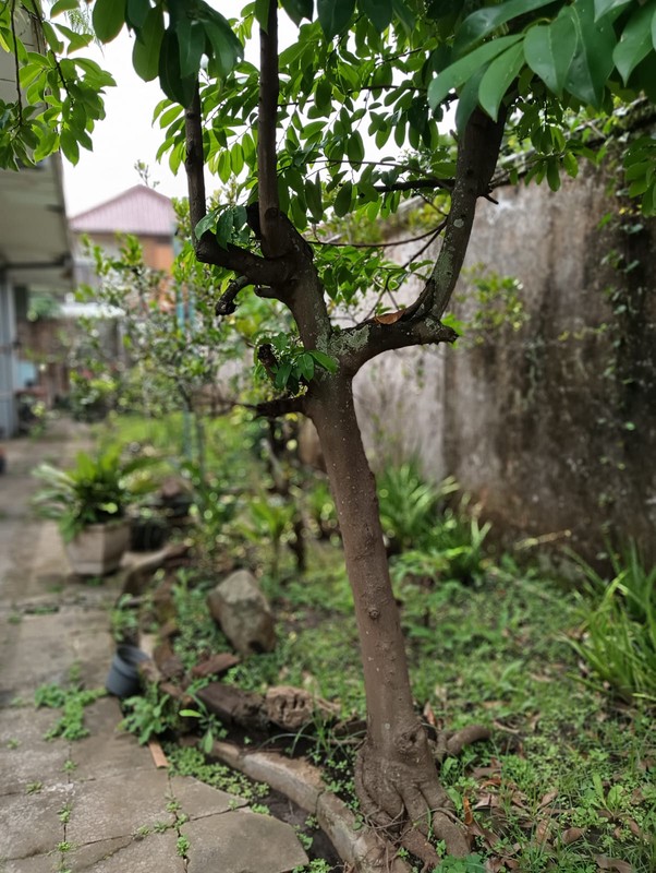 Rumah 1 Lantai di Komplek Cendrawasih Cibereum Kota Cimahi