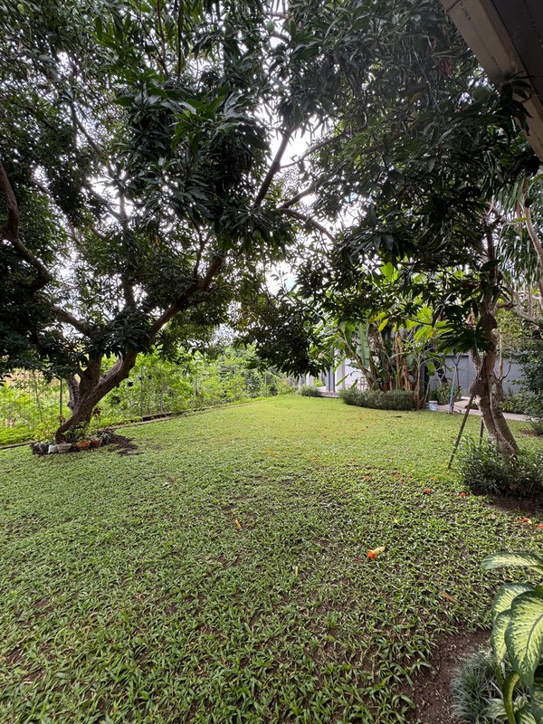 Luxurious Villa Freehold In Heart Canggu Bali