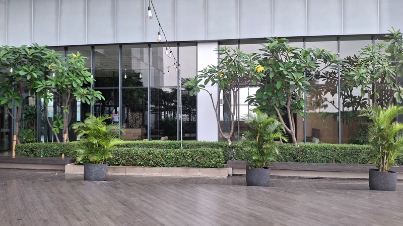 Apartemen Soho Type Studio 