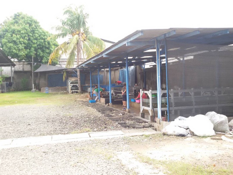 GEDUNG DIJUAL JALAN WARUNG GANTUNG JAKARTA BARAT