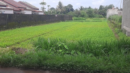 Tanah Sawah Strategis 1.465 Meter Persegi Cocok Untuk Investasi di Tirtoadi, Mlati, Sleman