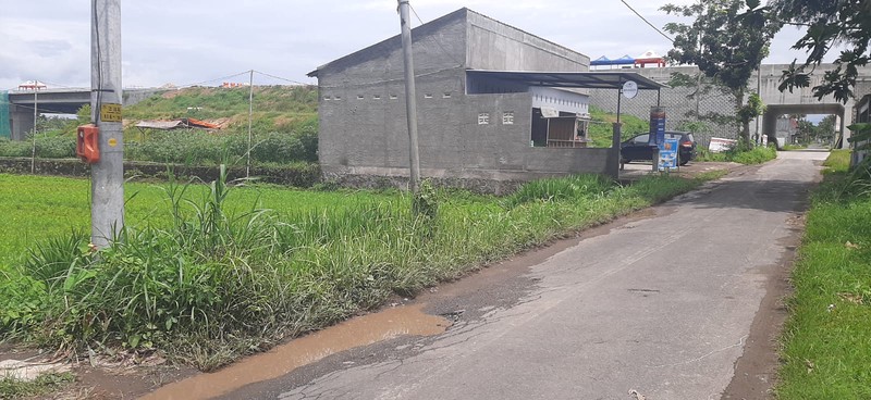 Tanah Sawah Strategis 1.465 Meter Persegi Cocok Untuk Investasi di Tirtoadi, Mlati, Sleman