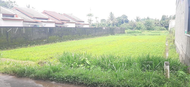 Tanah Sawah Strategis 1.465 Meter Persegi Cocok Untuk Investasi di Tirtoadi, Mlati, Sleman