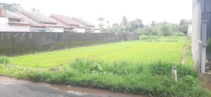 Tanah Sawah Strategis 1.465 Meter Persegi Cocok Untuk Investasi di Tirtoadi, Mlati, Sleman