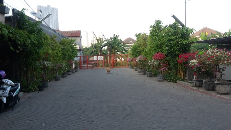 Jual Rumah Kos Eksklusif di Pradah Indah Lontar Surabaya 