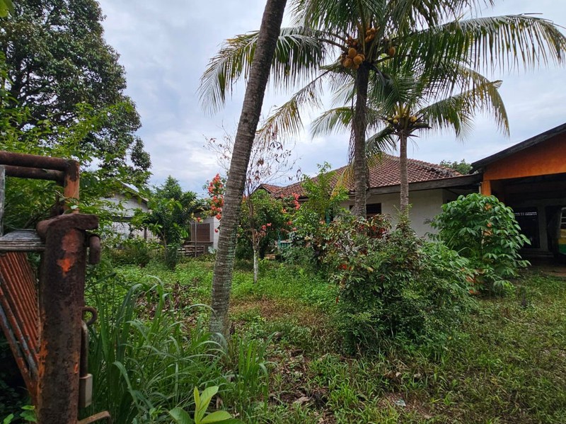 DIJUAL MURAH! TANAH COCOK UNTUK TOWNHOUSE DI BOGOR