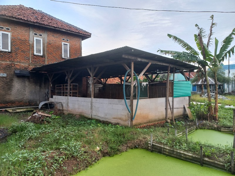 Tanah Murah  Bonus Rumah Di Kampung Rawa Makmur, Cocok Untuk Cluster
