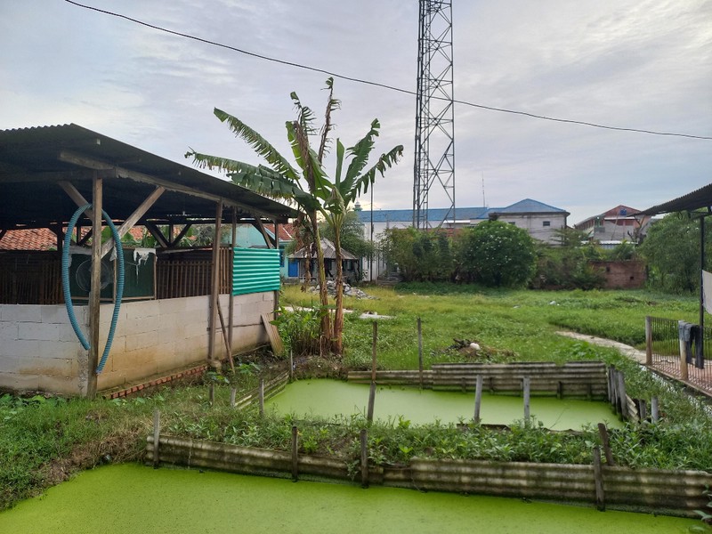 Tanah Murah  Bonus Rumah Di Kampung Rawa Makmur, Cocok Untuk Cluster