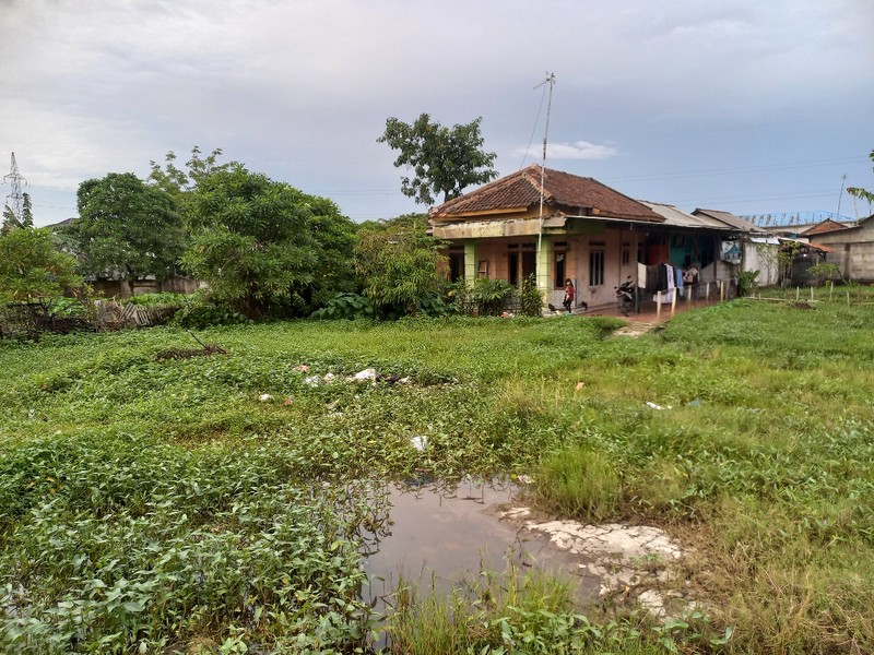 Tanah Murah  Bonus Rumah Di Kampung Rawa Makmur, Cocok Untuk Cluster