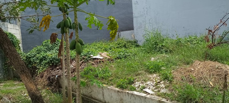 Rumah Siap Huni dengan Hunian Nyaman dan Asri di Rajeg Kabupaten Tangerang