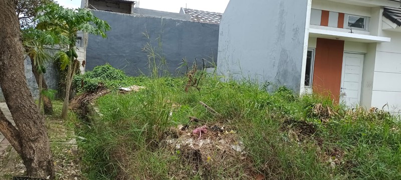 Rumah Siap Huni dengan Hunian Nyaman dan Asri di Rajeg Kabupaten Tangerang