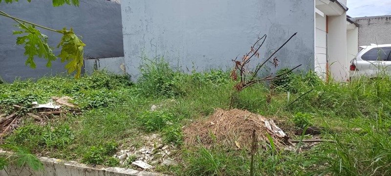 Rumah Siap Huni dengan Hunian Nyaman dan Asri di Rajeg Kabupaten Tangerang