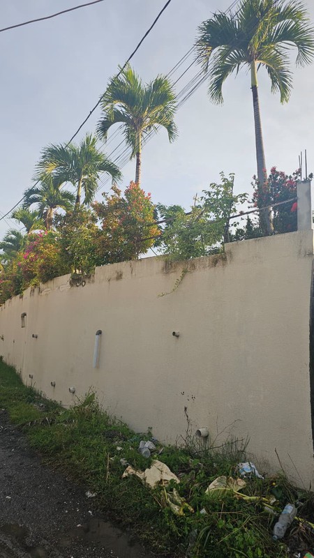 FOR SALE - LEASEHOLD - Brand New Villa with Huge Garden and Pool in between Kerobokan and Canggu, BALI