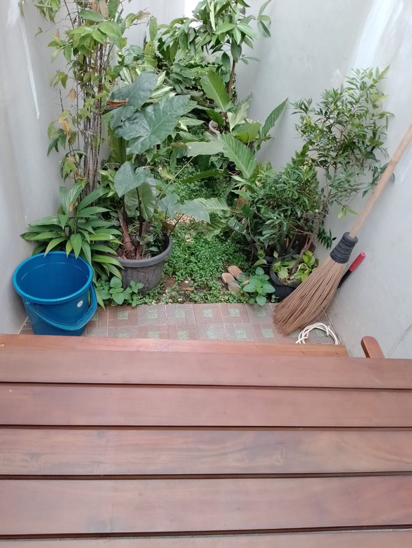 Rumah 2 Lantai Siap Huni dengan Hunian Nyaman dan Asri di Bogor