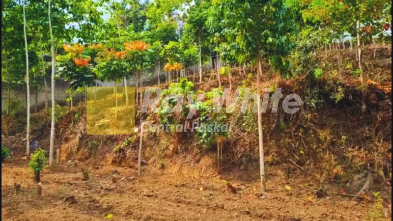 Tanah di Lokasi Strategis Kabupaten Bandung Barat