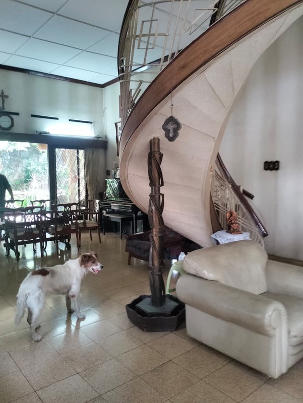 Tanah Bonus Rumah di Lokasi Premium - Mainroad Surapati Bandung