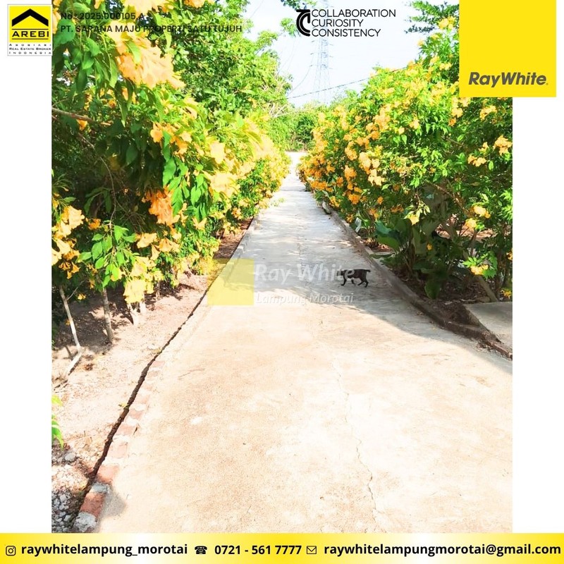 Dijual Tanah dan Kebun Wisata