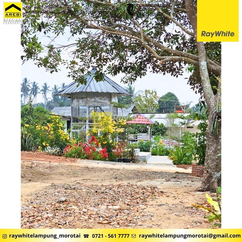 Dijual Tanah dan Kebun Wisata