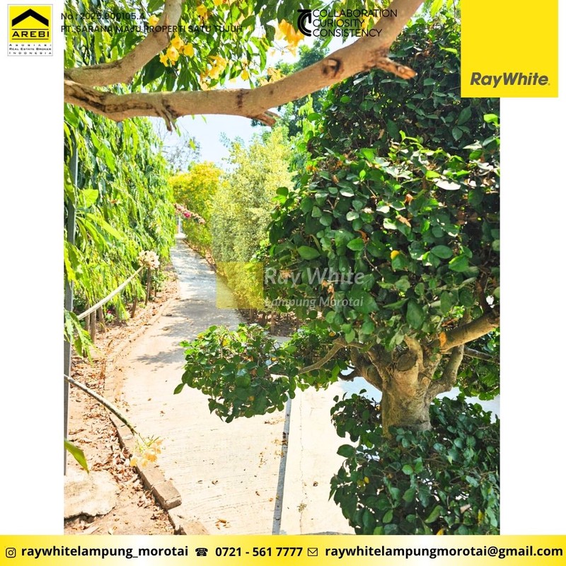 Dijual Tanah dan Kebun Wisata