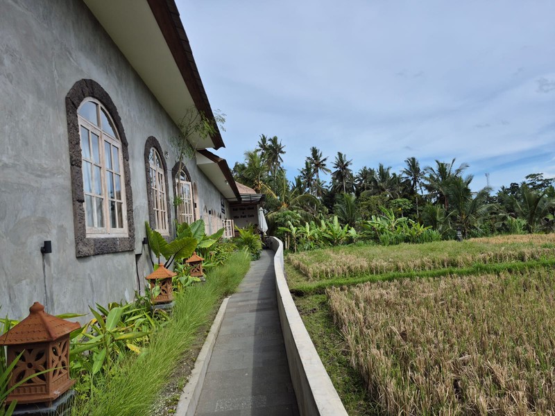 For Sale : Turnkey Hospitality Business & Property in Tampak Siring - Gianyar