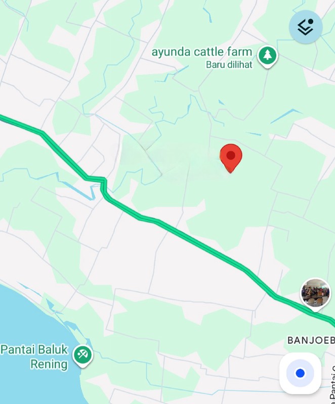 MURAH Dijual 1,4 Ha Tanah Jembrana Bali - Desa Perancak - Negara Jembrana Bali Strategis Dekat Area Wisata - Surat SHM - Ada Akses Jalan 