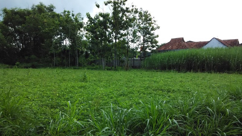 Harga Jual Tanah Di Jalan Bali Gubeng