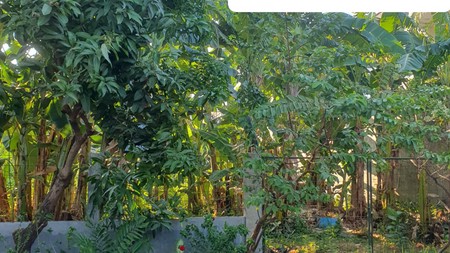 Dijual 564 M2 Tanah Kavling Jalan Jemursari Surabaya Strategis Dekat Dunkin Donuts Jemursari - Row Jalan 2 Mobil - Surat Shm