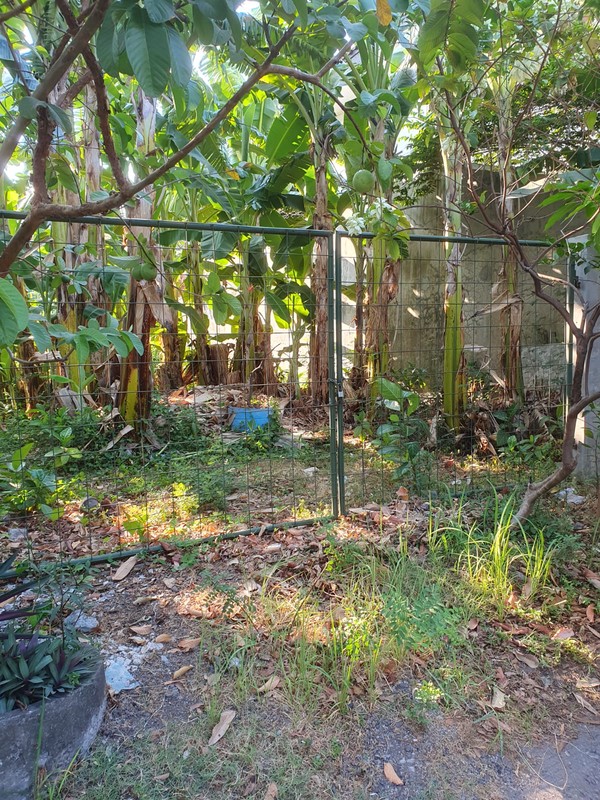 Dijual 564 M2 Tanah Kavling Jalan Jemursari Surabaya Strategis Dekat Dunkin Donuts Jemursari - Row Jalan 2 Mobil - Surat Shm