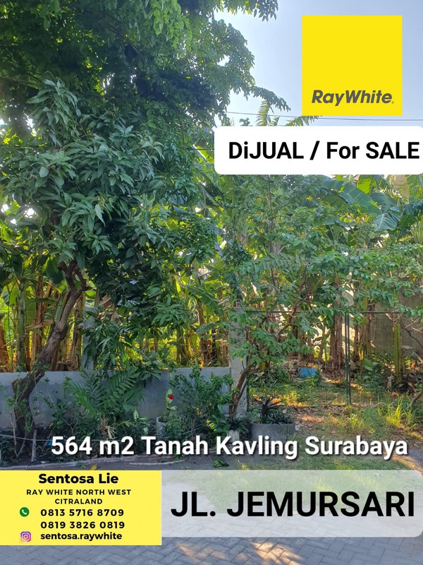 Dijual 564 M2 Tanah Kavling Jalan Jemursari Surabaya Strategis Dekat Dunkin Donuts Jemursari - Row Jalan 2 Mobil - Surat Shm