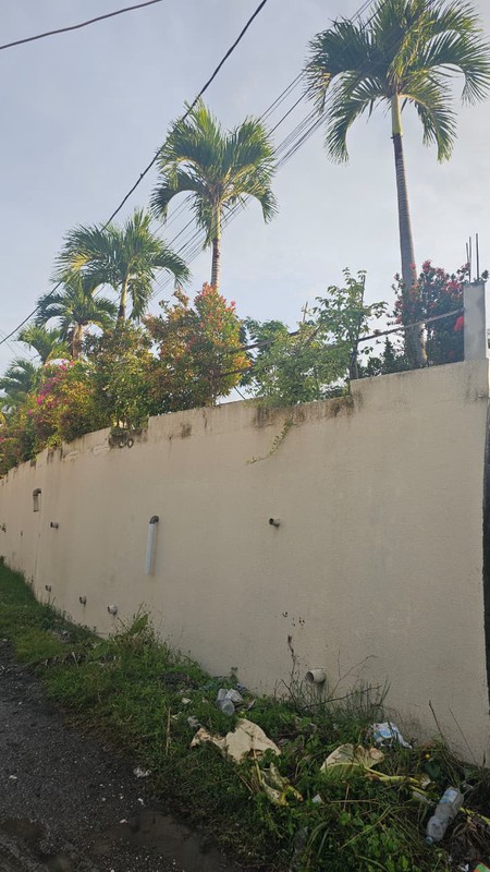 FOR SALE - LEASEHOLD - Brand New Villa with Huge Garden and Pool in between Kerobokan and Canggu, BALI