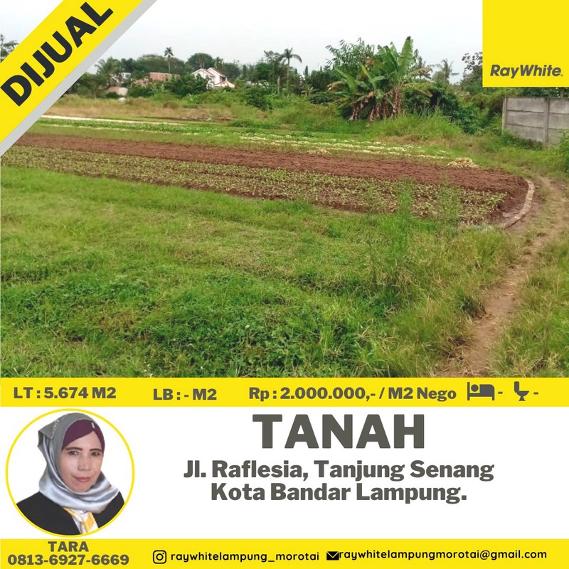 tanah murah tanjung senang