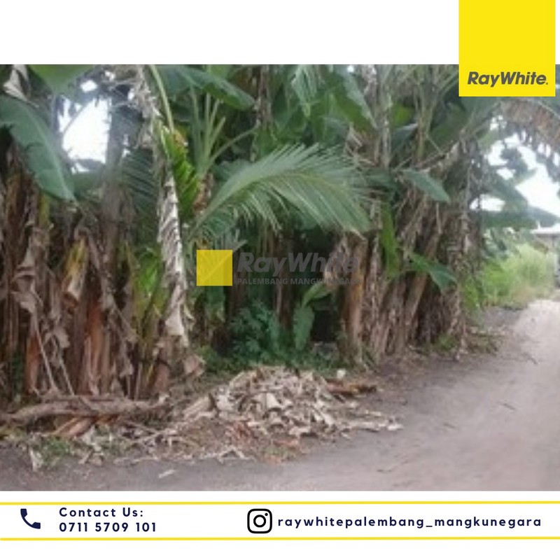 Dijual Tanah di Jl. Lintas Sumatera Kel.Timbangan Kec. Indralaya Utara, Kab. Ogan Ilir