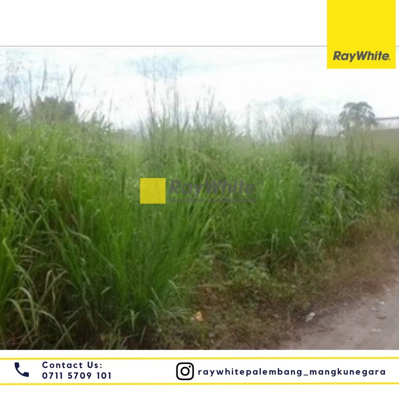 Dijual Tanah di Jl. Lintas Sumatera Kel.Timbangan Kec. Indralaya Utara, Kab. Ogan Ilir