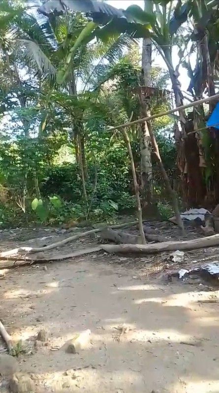 Dijual Tanah Kebun Produktif 1,6 Ha Investasi Hijau Nan Asri, di Karangmoncol, Purbalingga, Jawa Tengah