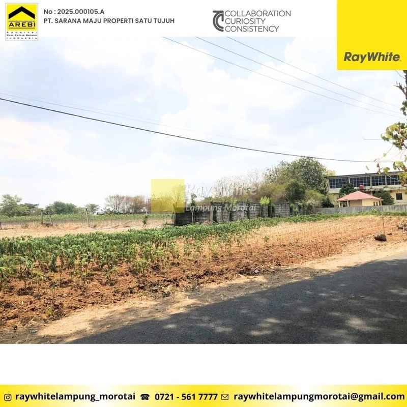 TanahMurah 1,6 Hktar di Gunung Sugih,Lampung Tengah