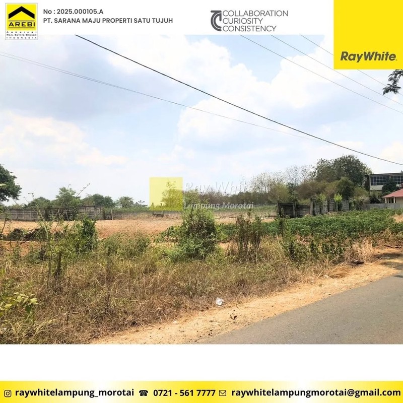 TanahMurah 1,6 Hktar di Gunung Sugih,Lampung Tengah