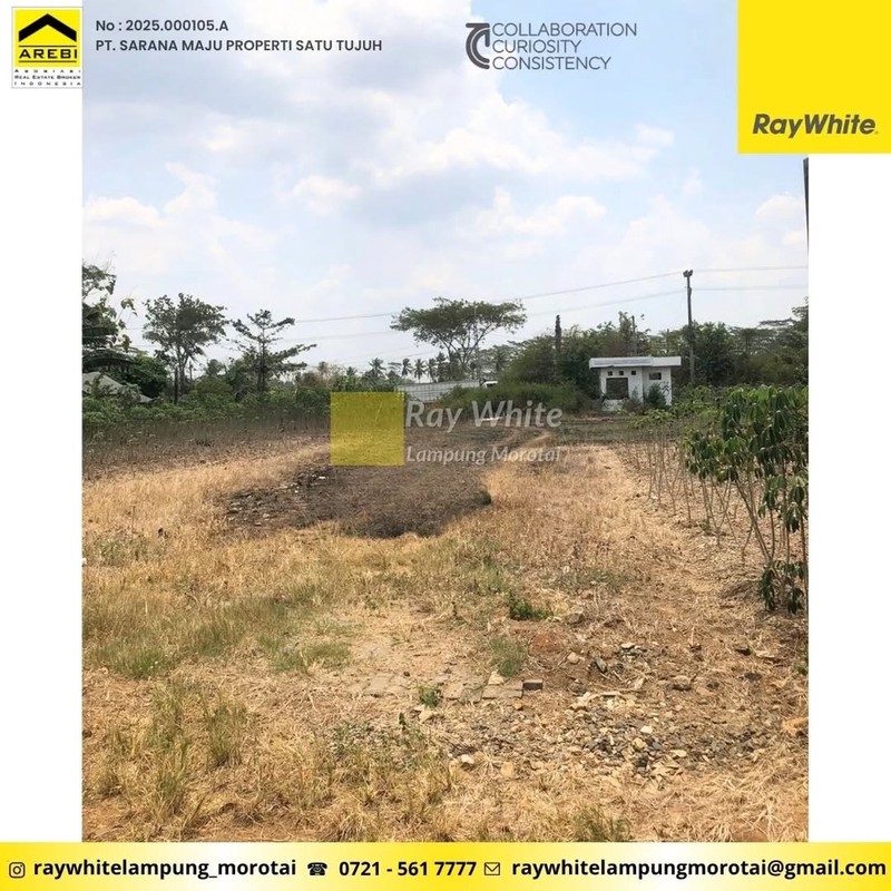 TanahMurah 1,6 Hktar di Gunung Sugih,Lampung Tengah